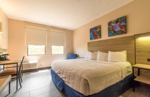 Borinquen Hôtel | Parador El Faro