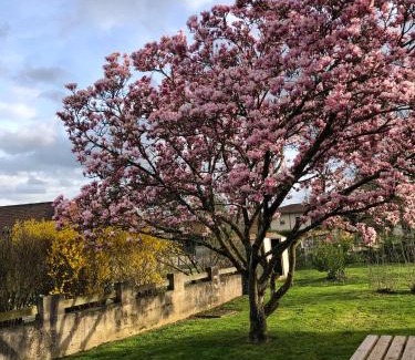 Saint-Etienne-sur-Reyssouze Lit Et Petit-Déjeuner | Parc de la Charmille