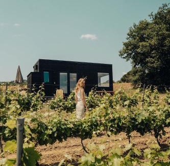 Saint-Romain-en-Viennois Chalet De Ski | Parcel Tiny House au coeur des vignes proche Mont Ventoux