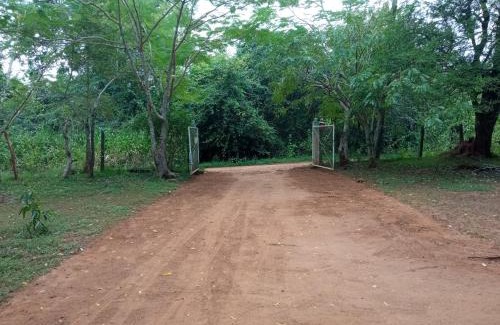 Nochchiyagama Maison | Park view Bungalow Wilpattu