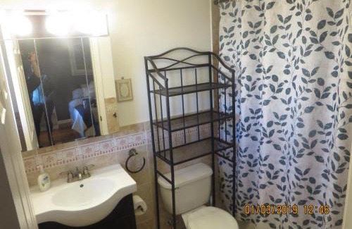 Union City Appartement | Park-View Sleeps 12 3BR