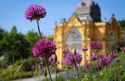 Marianske Lazne Hôtel | Parkhotel Golf Marianske Lazne