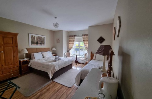 Bunratty Lit Et Petit-Déjeuner | Parkhouse Bed and Breakfast