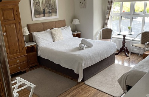 Bunratty Lit Et Petit-Déjeuner | Parkhouse Bed and Breakfast