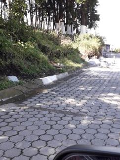 San Vicente Pacaya Autre | Parque Ecológico los Cipreses Volcán Pacaya