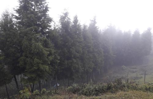 San Vicente Pacaya Autre | Parque Ecológico los Cipreses Volcán Pacaya