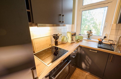 Schwerin Appartement | Parrot in the old town of Schwerin - ABC569