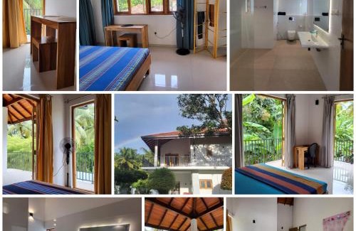 Negombo Maison | Parrot Paradise Negombo