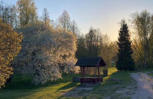Parnu County Appartement | Part of house, sauna and terrace