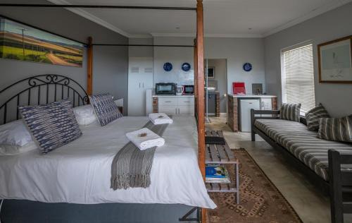 Napier Maison | Pascal's of Napier