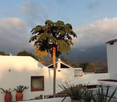 Arcabuco Maison | PASSADHI Ayurveda & Yoga Retreat
