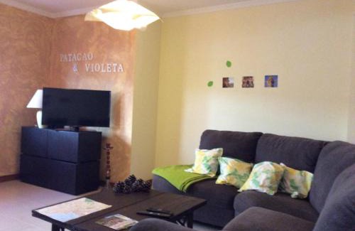 Se Appartement | Patacão&Violeta