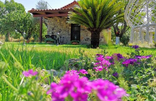 Mindiloglion Maison | Patras stonehouse with large yard - Πέτρινο σπίτι με αυλή