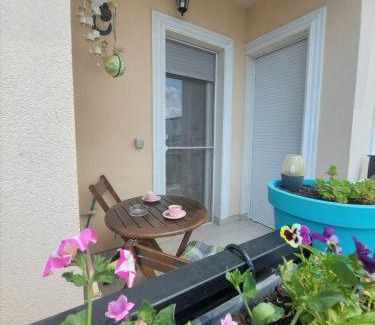 Dumbravita Appartement | Paula Apartment