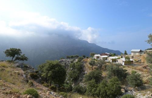 Faralya Maison | Pavlonya Bungalows