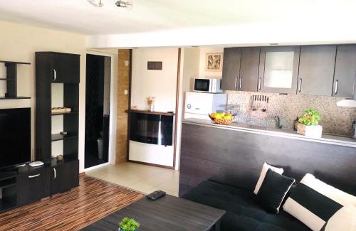 Samokov Appartement | Pavlovi Apartments