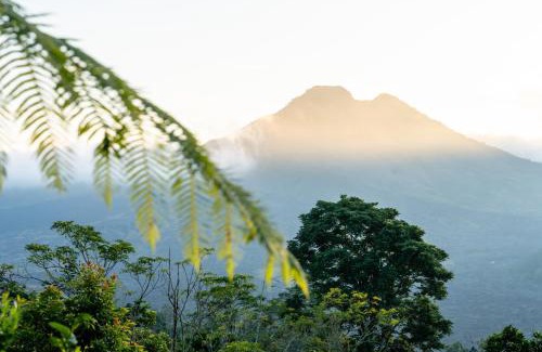 Kintamani Hôtel | Payang Cabin Kintamani