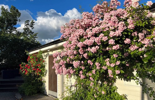 Alta Villa | Peace and quiet close to the city and nature!