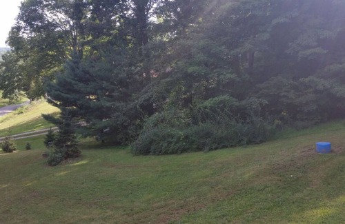 Uhrichsville Maison | La paix et la tranquillité vous attendent au Buck Shack