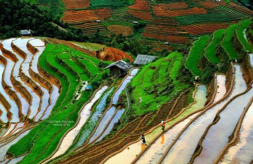 Mu Cang Chai Maison | Peace Homestay Mù Cang Chải