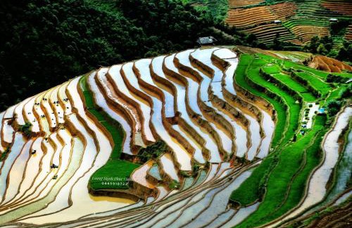 Mu Cang Chai Maison | Peace Homestay Mù Cang Chải