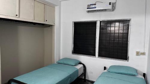 David Appartement | Peace 'N Green - Doleguita