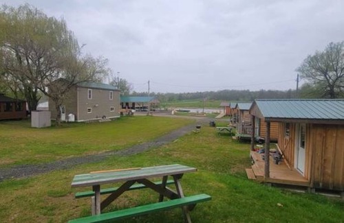 Hammond Cabine | Peaceful 1-bedroom cabin in Hammond -Accessible-