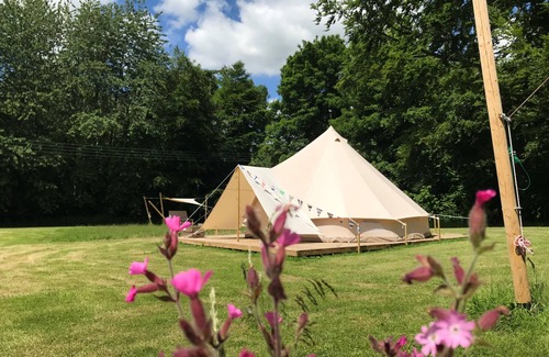 Swannington Cabine | Peaceful and hidden away in rural Norfolk, Lilypad sits amongst wild flowers