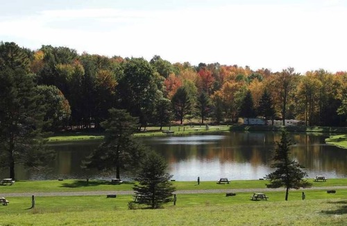 Endicott Maison | Peaceful Cabin Escape! Free Parking, Water Sports Activities!