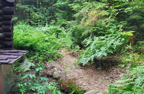 Baysville Cabine | Peaceful Cabin in the Woods near lake, wildlife. Hike, swim, fish and boat.