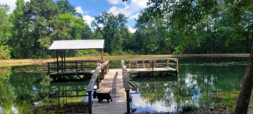 Claxton Maison | Peaceful Cabin with Dock and Pond Views in Georgia