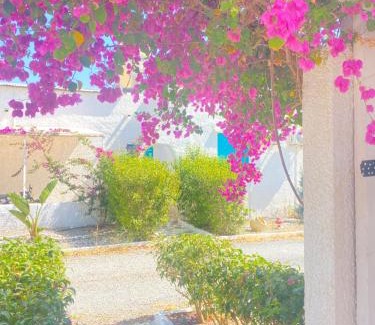 Messini Maison | Peaceful Cottage House - Private Garden