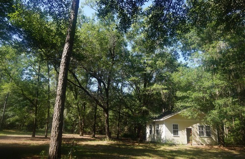 Alachua Cottage | Cottage paisible à Alachua en Floride