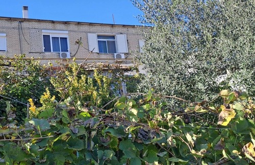 Mullet Appartement | Peaceful country apartment close to the city and the mountains.