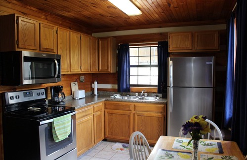 Townsend Cabine | Chalet Treehouse récemment rénové! Wifi gratuit! Restez une semaine et la 7e nuit GRATUITE!