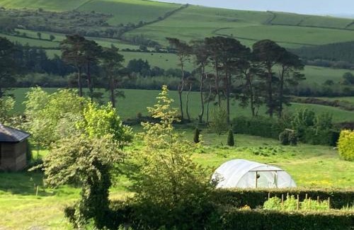 Wingfield Appartement | Peaceful Garden Studio near Gorey Sleeps 4 Parking