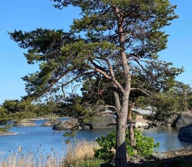 Oskarshamn Maison | Peaceful little cabin by the sea