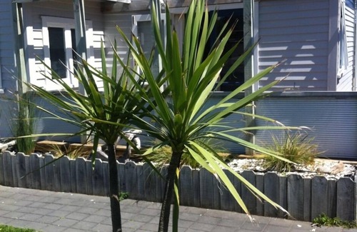 Otaki Beach Maison | Paisible Otaki maison de plage