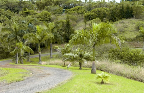 Pauwela Appartement | Estudio tranquilo y privado | 12 Acre Hobby Organic Fruit Farm || Playa 10min