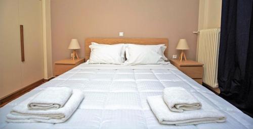 Neapoli Appartement | Peaceful Renovated Apartment Near Lycabettus Hill