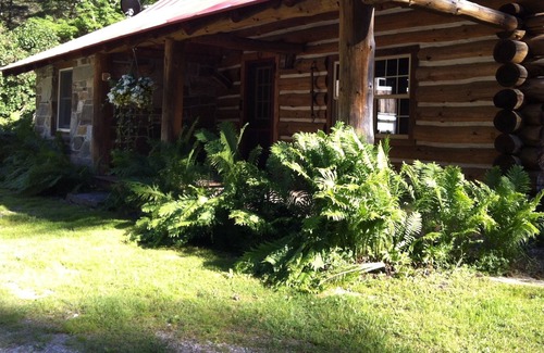 Clarendon Cabine | Peaceful Retreat surrounded by things to explore