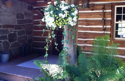 Clarendon Cabine | Peaceful Retreat surrounded by things to explore