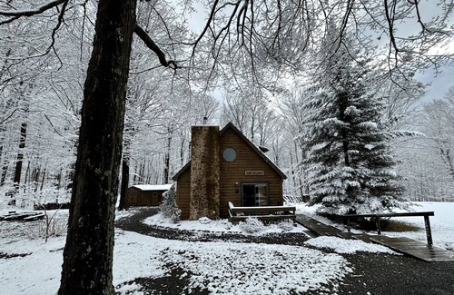 Dushore Cabine | Peaceful & Serene 🦌 Cozy Hillside Cabin ☀️ Koi Pond 🐸 Pet Friendly 🐕