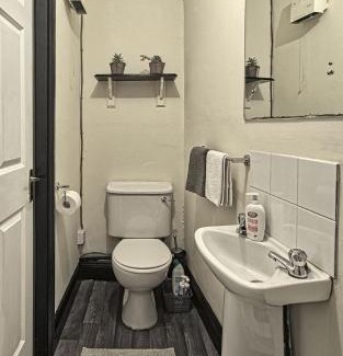 Murrintown Appartement | Peaceful tranquil Alpaca Farm