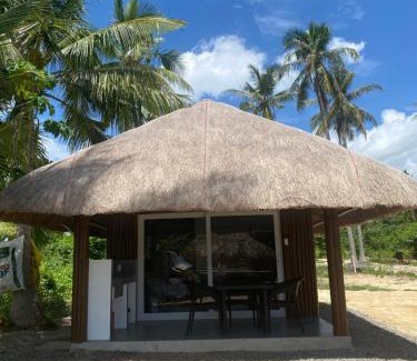 San Francisco Maison | peaceful turtle camp