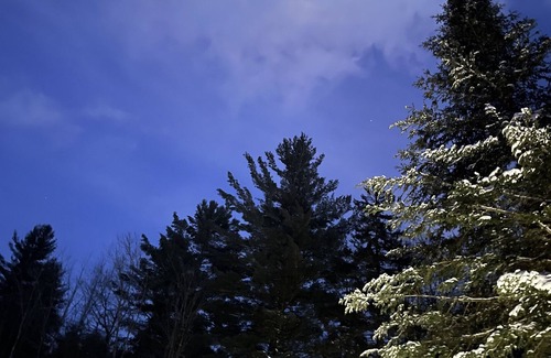 Woodgate Maison | Peaceful wooded cabin - 5 minutes from Adirondack state park