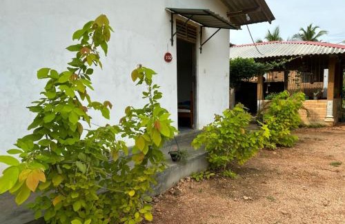 Dambulla Maison | Peacock village and family resort