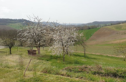 Roquecor Maison | Pech Ferrat, pleine campagne sur 1 Ha arboré, vue sur la vallée et les coteaux