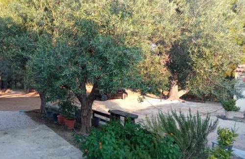 Psakoudia Appartement | Pefkonas apartments2 100 m from the beach