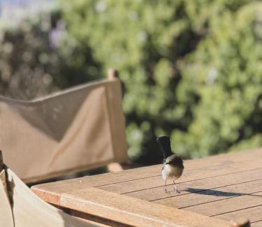 Penneshaw Maison | Penny Shack - Incredible sea views and just two minutes to the ferry
